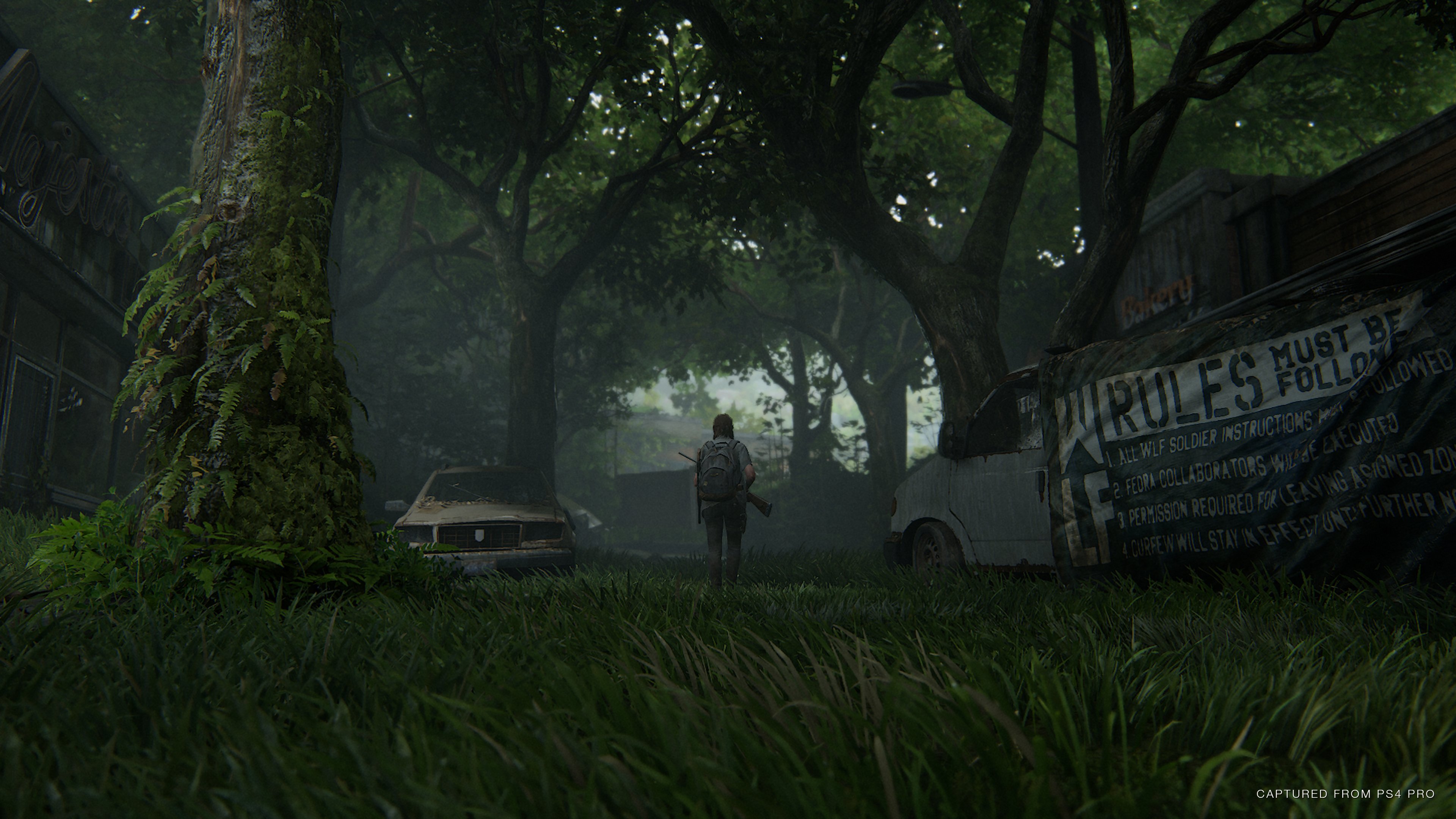 The Last of Us: Parte II - Imagen 23